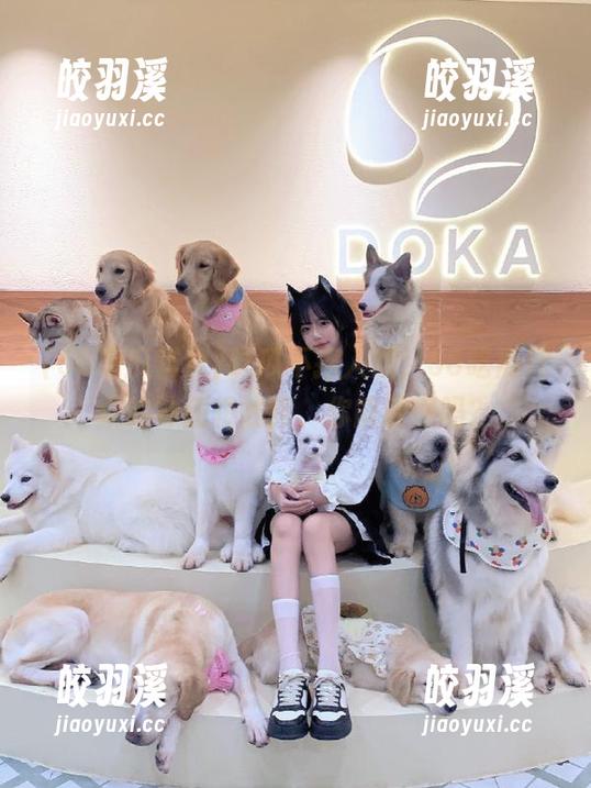 56吃瓜群众 吃瓜不招人烦,56吃瓜群众的神逻辑线路,你能看懂吗?
