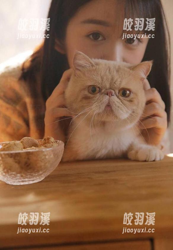 黑料不打烊 最新黑料不打烊视频,看的我肝儿都颤了,求求你们别再让我看到这种事了!