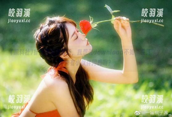 针对黑料社更新，我想说download不如“晃荡”，可曾有小伙伴同感啊？